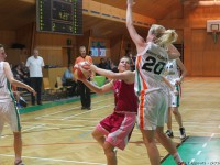 Flames_D1-Vienna87-20140215_192717-MKIV0157